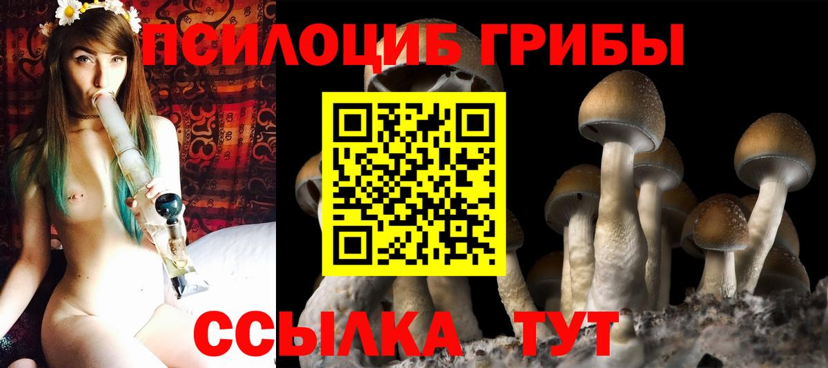 Псилоцибиновые грибы ЛСД  Вход с VPN  Сорочинск 